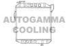 AUTOGAMMA 100240 Radiator, engine cooling